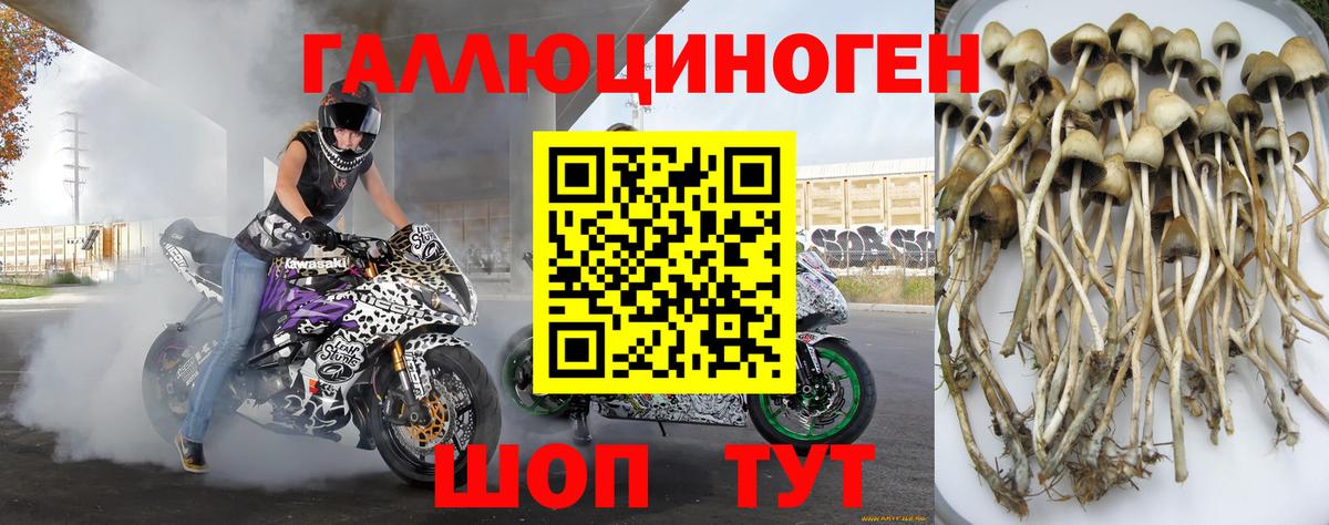 Ставрополь  Вход с VPN  Марихуана  Меф   Где купить наркотики?  Гашиш  Cocaine 