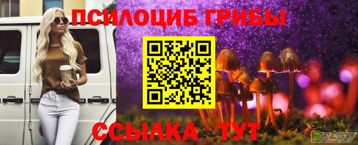 Псилоцибиновые грибы Cubensis  купить наркотик  Ставрополь  Вход с VPN 